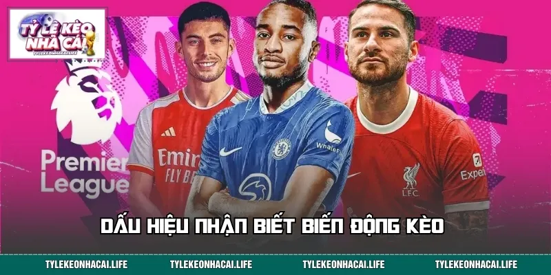 Dấu hiệu nhận biết biến động kèo 